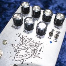 POLARBEAR EFFECTS YOUNG HEARTS_2