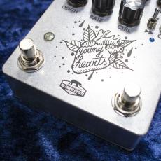 POLARBEAR EFFECTS YOUNG HEARTS_3