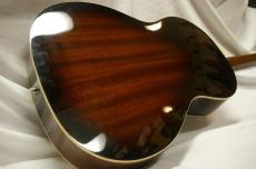 Epiphone EL-00 Pro_2