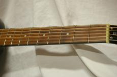 Epiphone EL-00 Pro_4