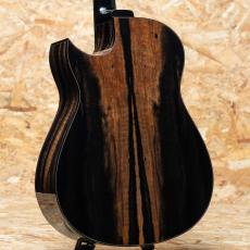 Beauregard Guitars(Mario Beauregard) Mod-D European Spruce Crelicam Ebony_2