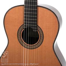 ASTURIAS Renaissance/C 630mm_10