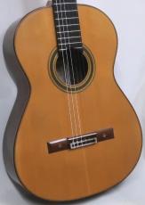 アントニオ・マリン Eタイプ_3