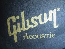 Gibson Custom Shop Monthly Limited Run J-45 Vine Custom Autumn Burst / Abalone Vine Inlay ・Solid Spruce Top・Solid Mystic Rosewood Side and Back・Figured Mahogany Neck・With LR Bags VTC 【With Original Case】2017_17