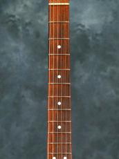 Fender SRV Stratocaster "Stevie Ray Vaughan"_4