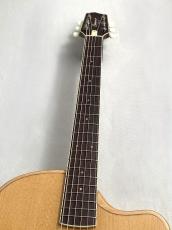 L.R.Baggs 【薄胴エレアコ】AEG-1 TOR 【Hi-Fi Duet 搭載】_3