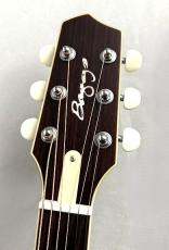 L.R.Baggs 【薄胴エレアコ】AEG-1 TOR 【Hi-Fi Duet 搭載】_4