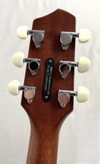 L.R.Baggs 【薄胴エレアコ】AEG-1 TOR 【Hi-Fi Duet 搭載】_5