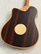 L.R.Baggs 【薄胴エレアコ】AEG-1 TOR 【Hi-Fi Duet 搭載】_7