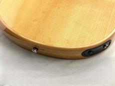 L.R.Baggs 【薄胴エレアコ】AEG-1 TOR 【Hi-Fi Duet 搭載】_11