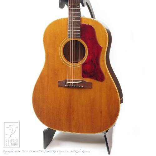 Gibson J-50 レギュラーネック【デモ動画掲載】