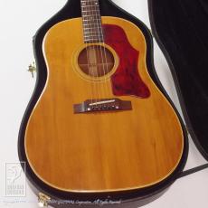 Gibson J-50 レギュラーネック【デモ動画掲載】_10