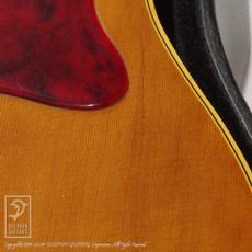 Gibson J-50 レギュラーネック【デモ動画掲載】_14