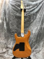 SCHECTER NV-3-22-BW_3