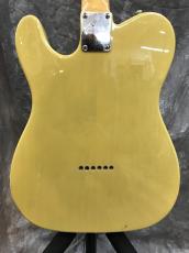 GrassRoots G-TE-50M_6