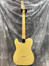 GrassRoots G-TE-50M_7