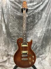 Aria Pro II PE-R60_2