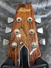 Aria Pro II PE-R60_4