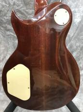 Aria Pro II PE-R60_7
