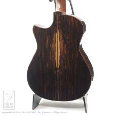 Fujii Guitars 00 Cutaway【デモ動画掲載】_3