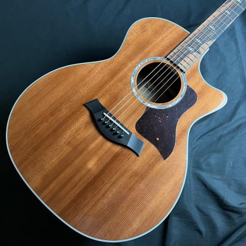 Taylor エレアコギター