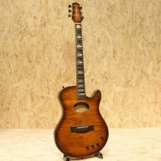 Buscarino Starlight Steel String 1993_3