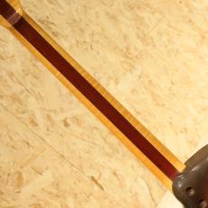 Buscarino Starlight Steel String 1993_7