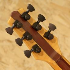 Buscarino Starlight Steel String 1993_9