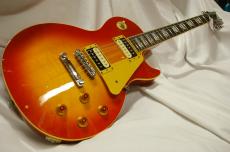 BUSKER'S BLS300_2