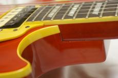 BUSKER'S BLS300_9