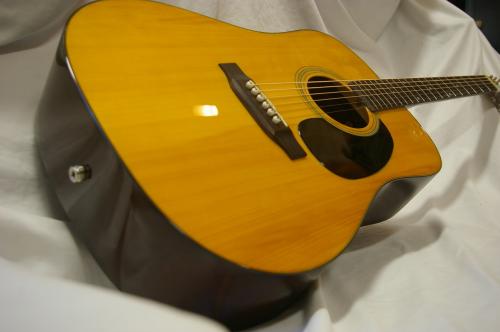 RECORDING KING RD-318