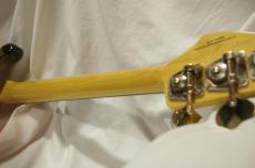 FUJIGEN NPB100RAL 3TS_4