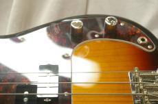 FUJIGEN NPB100RAL 3TS_9