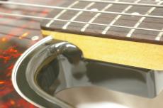 FUJIGEN NPB100RAL 3TS_10