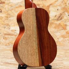 KoAloha KCNP-10 Naupaka Concert_2