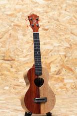 KoAloha KCNP-10 Naupaka Concert_3