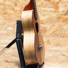 KoAloha KCNP-10 Naupaka Concert_4