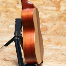 KoAloha KCNP-10 Naupaka Concert_5