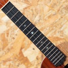 KoAloha KCNP-10 Naupaka Concert_6