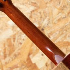 KoAloha KCNP-10 Naupaka Concert_7