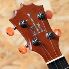 KoAloha KCNP-10 Naupaka Concert_8