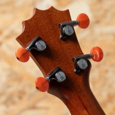 KoAloha KCNP-10 Naupaka Concert_9