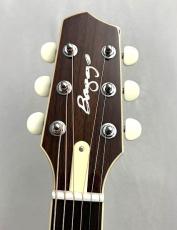 L.R.Baggs 【薄胴エレアコ】AEG-1 NAT 【Hi-Fi Duet 搭載】_4