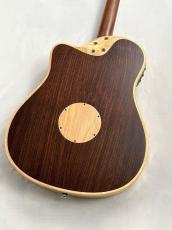 L.R.Baggs 【薄胴エレアコ】AEG-1 NAT 【Hi-Fi Duet 搭載】_6