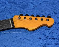 Westville Westel Semi-Hollow (SPR-ALD/C8-AL4)_5