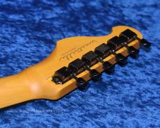 Westville Westel Semi-Hollow (SPR-ALD/C8-AL4)_6