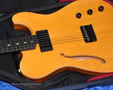 Westville Westel Semi-Hollow (SPR-HM / AL3) / Wenge Wood Neck _7
