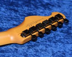 Westville Westel Semi-Hollow (SPR-HM / AL3)_6