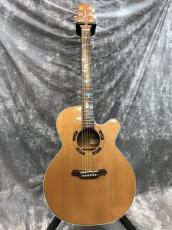 Takamine ESF-93_2