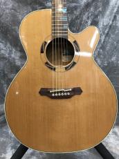 Takamine ESF-93_5